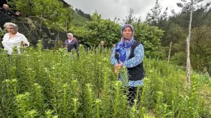 Adana'da 'Ak Zambak'la kadın üretimi ve istihdama katkı