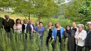 Ak Zambaklar gelişiyor, kadınlar güçleniyor