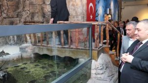 Ankara Keçiören’de yenilenen Deniz Dünyası açıldı