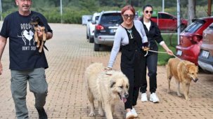 Antalya'da can dostlar sıcak yuvalarına kavuşuyor