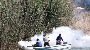 Antalya’da denizden karaya ilaçlama yapılıyor