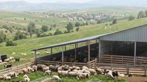 Çiftçilere 5,48 milyar TL tarımsal destek ödemeler hesaplarda