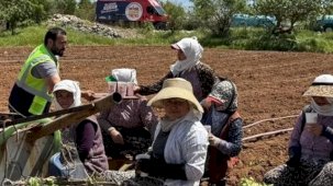 Denizli’de tarlalara ikram molası