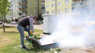 Diyarbakır ilçelerinde haşereyle mücadele aralıksız sürüyor