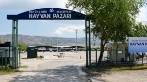 Eskişehir’de Hayvan Pazarı Kurban Bayramı için hazırlanıyor