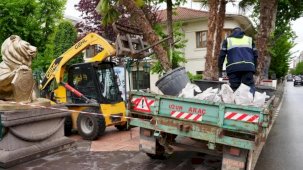 Eskişehir'de Köprübaşı palmiyeleri sahaya çıktı