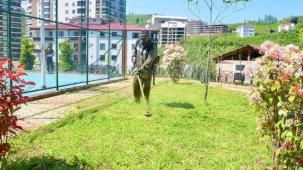 Giresun'da yaz mesaisine hız verildi