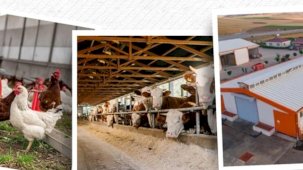 IPARD III sonuçları açıklandı... 218 projeye 2,5 milyar TL hibe