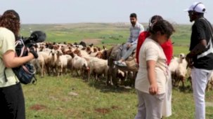İpek Yolu Kervanı'nın 'Sürü Nereye Gidiyor?' belgesinde bir bölüm daha tamamlandı
