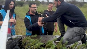 İzmir Aliağa’da yangınların yarası bin fıstık çamıyla sarıldı