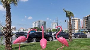 İzmir yaza çiçek açarak hazırlanıyor