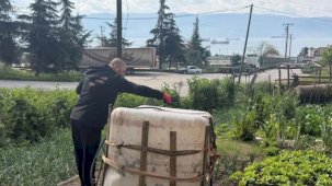 Kocaeli’de sivrisinek ve karasinekle yoğun mücadele