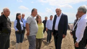 Konya’da patates atağı... İthal tohum dönemi sona eriyor