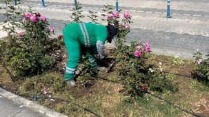 Muğla Milas'ta bayram öncesi bakım
