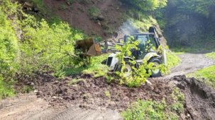 Ordu’da kuvvetli yağış sonrası 120 heyelan