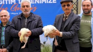 Samsun Büyükşehir'den üreticiye kaz desteği