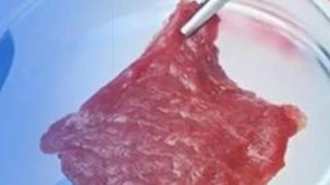 Tarım Bakanlığı’ndan 'yapay et' açıklaması... Türkiye’de üretim ve tüketime izin yok!