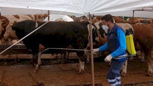 Trabzon’da kurban alanlarında hijyen seferberliği
