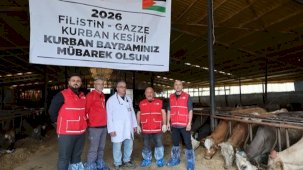 Türk Kızılayı'ndan vekaletle kurban kesimi