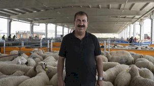 TÜRKYED'den kurbanlık uyarılar!
