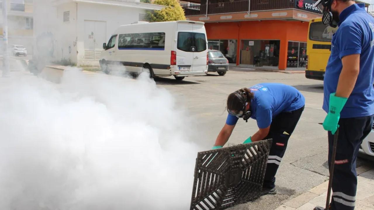 Antalya'da 19 ilçede yoğun vektörle mücadele