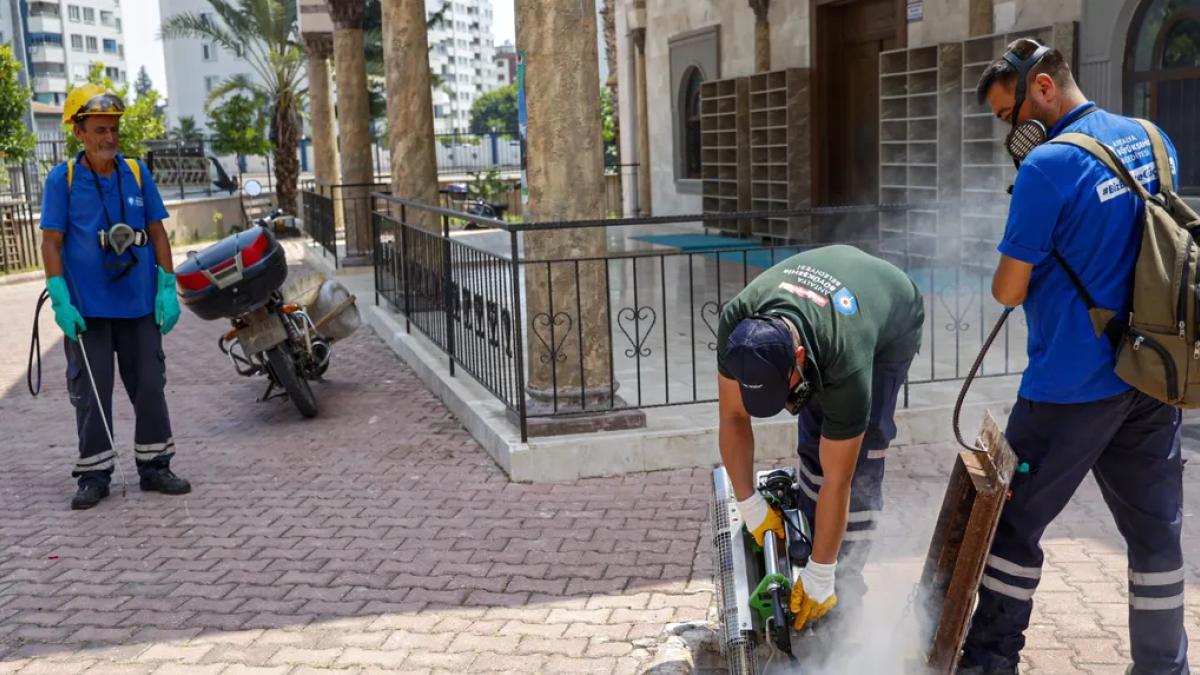 Antalya'da toplu kullanım alanlarına ilaçlama çalı