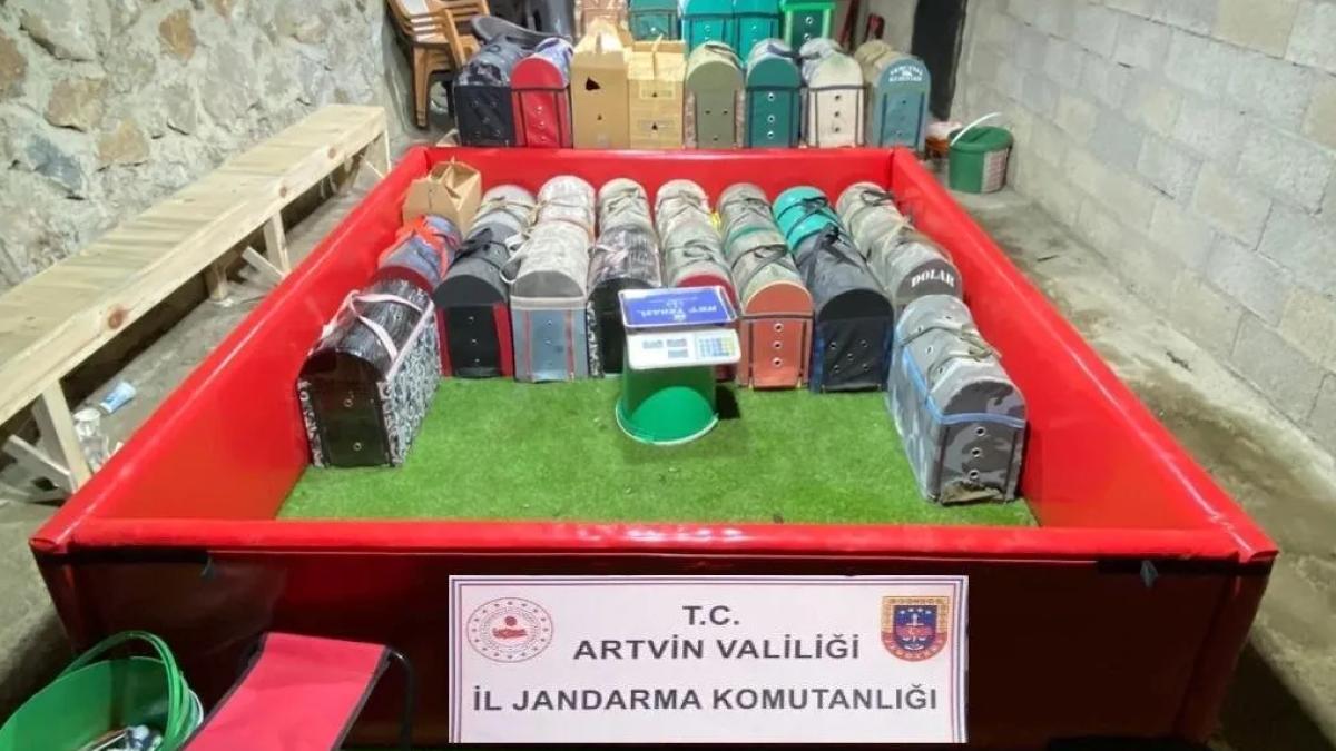 Artvin’de horoz dövüştürenlere rekor ceza