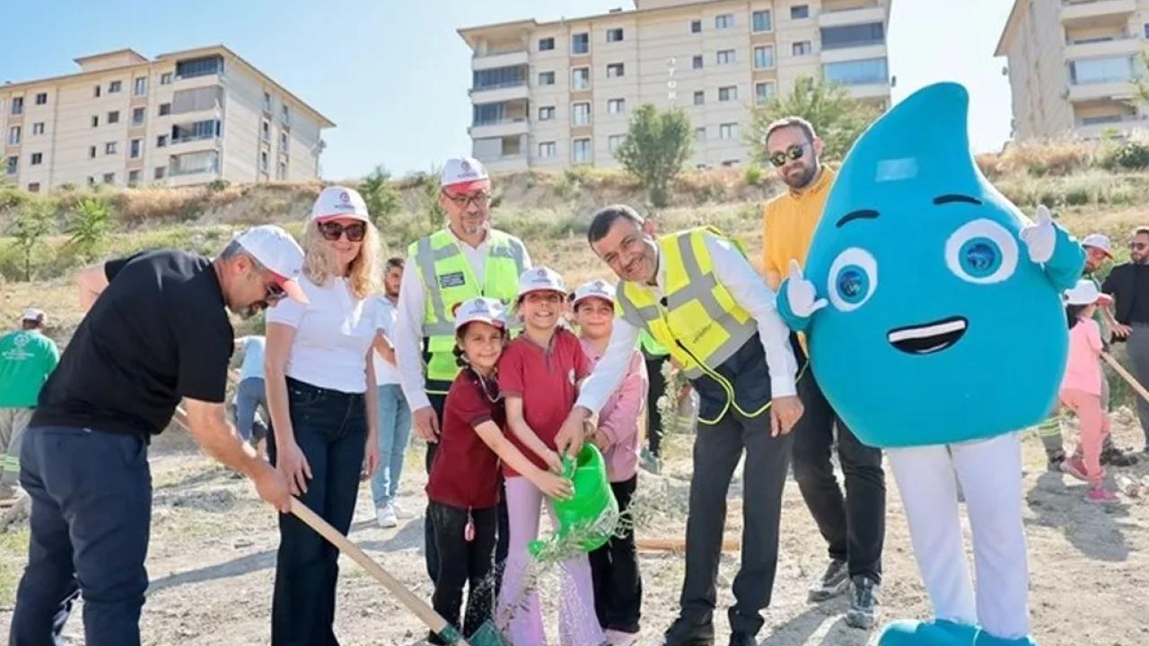 Denizli'de zeytin fidanları toprakla buluştu