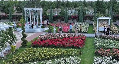 Karatay’da 190 çeşit gül ziyaretçilere görsel şölen sunuyor