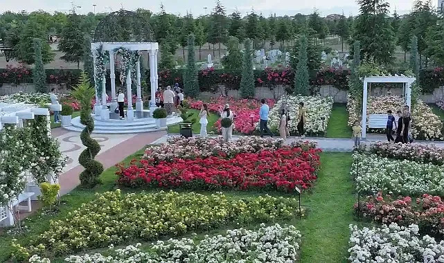 Karatay’da 190 çeşit gül ziyaretçilere görsel şölen sunuyor