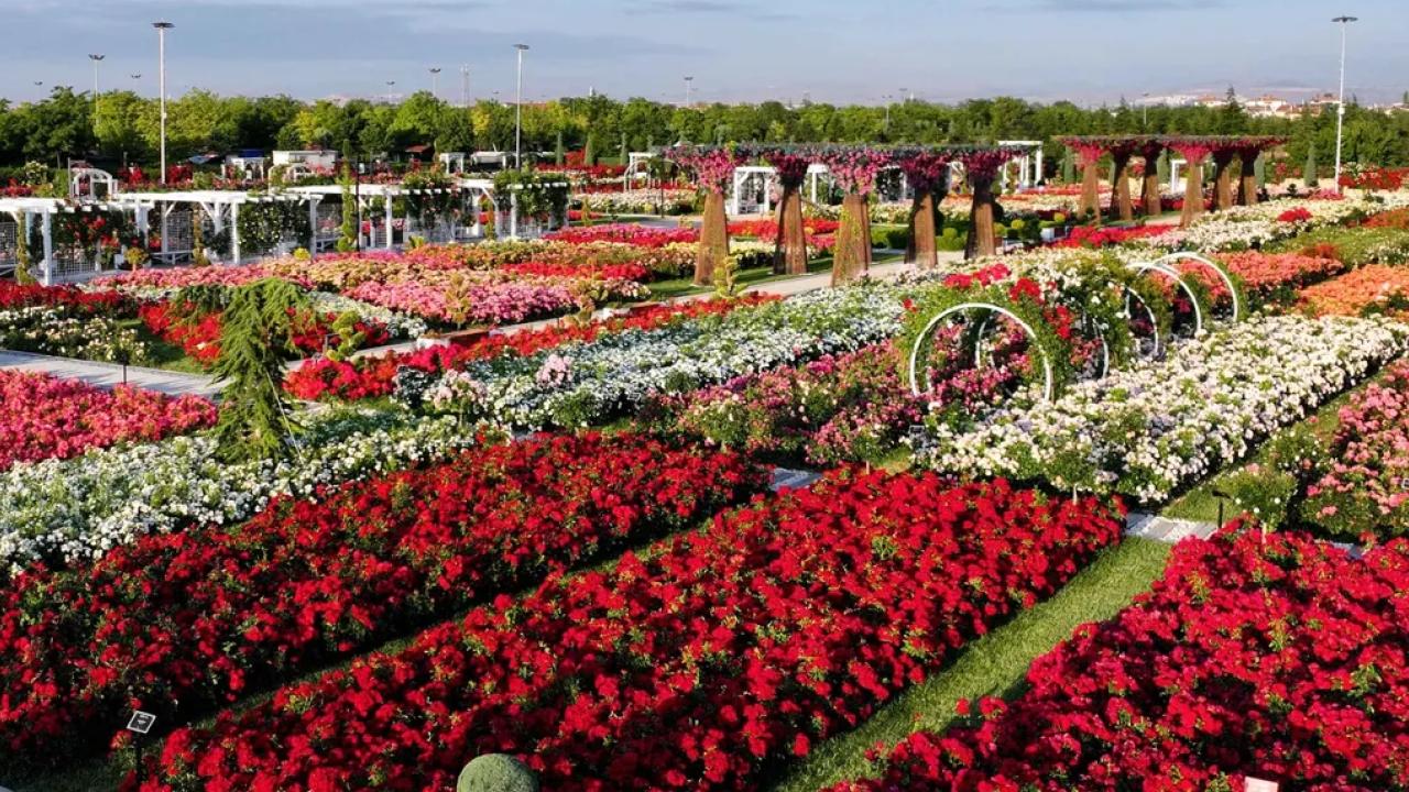Konya Karatay'da 190 çeşit gül ile görsel şölen