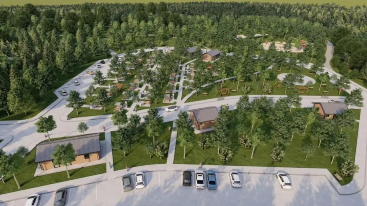 Sakarya'da 80 dönüm üzerine doğa projesi