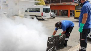 Antalya'da 19 ilçede yoğun vektörle mücadele