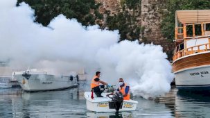 Antalya’da sahil bandında vektörle mücadele
