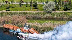 Başkent'te haşerelere geçit yok
