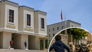 İçişleri'nden köpek saldırıları sonrası 3 belediye başkanı hakkında işlem... Muğla ve Erzurum'a soruşturma, Şanlıurfa'ya ön inceleme