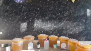 İstanbul Küçükçekmece’de narkotik operasyonu