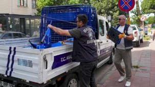 İstanbul Maltepe'de zabıta ekipleri işgallere karşı sahada
