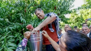 İzmir Selçuk’ta Şen Şeftali Şenliği üreticiye umut oldu