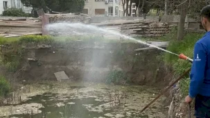 İzmir’de sivrisineğe karşı dev mücadele