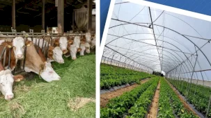 Kırsal Kalkınma Yatırım Programı başvuruları 3 Temmuz’a uzatıldı