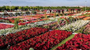 Konya Karatay'da 190 çeşit gül ile görsel şölen