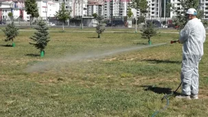 Malatya'da vektörel mücadele sürüyor