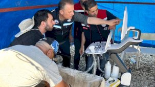 Mersin balıklarında erken cinsiyet tespiti için eğitim