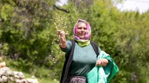 Mersin’de yerel tohumlarla üretim güçleniyor