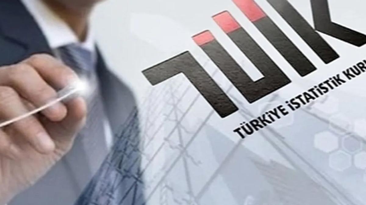 TÜİK bazı ekonomik göstergelerin yayın tarihlerini erteledi