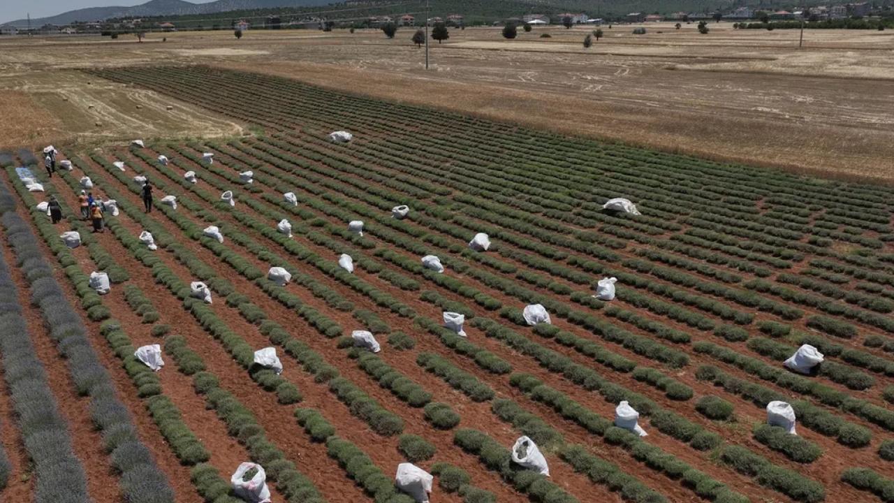 TZOB: 30 yılda 3 milyon hektar tarım arazisi kaybedildi!