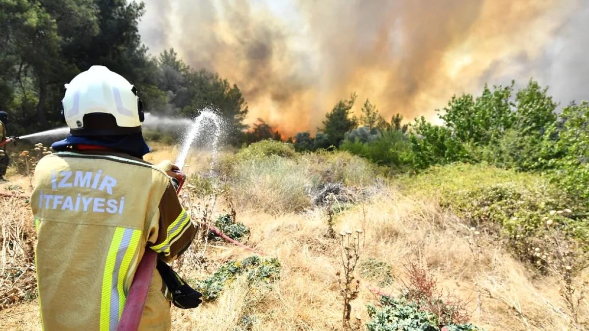 Yangın sezonu öncesi İzmir'de kritik zirve