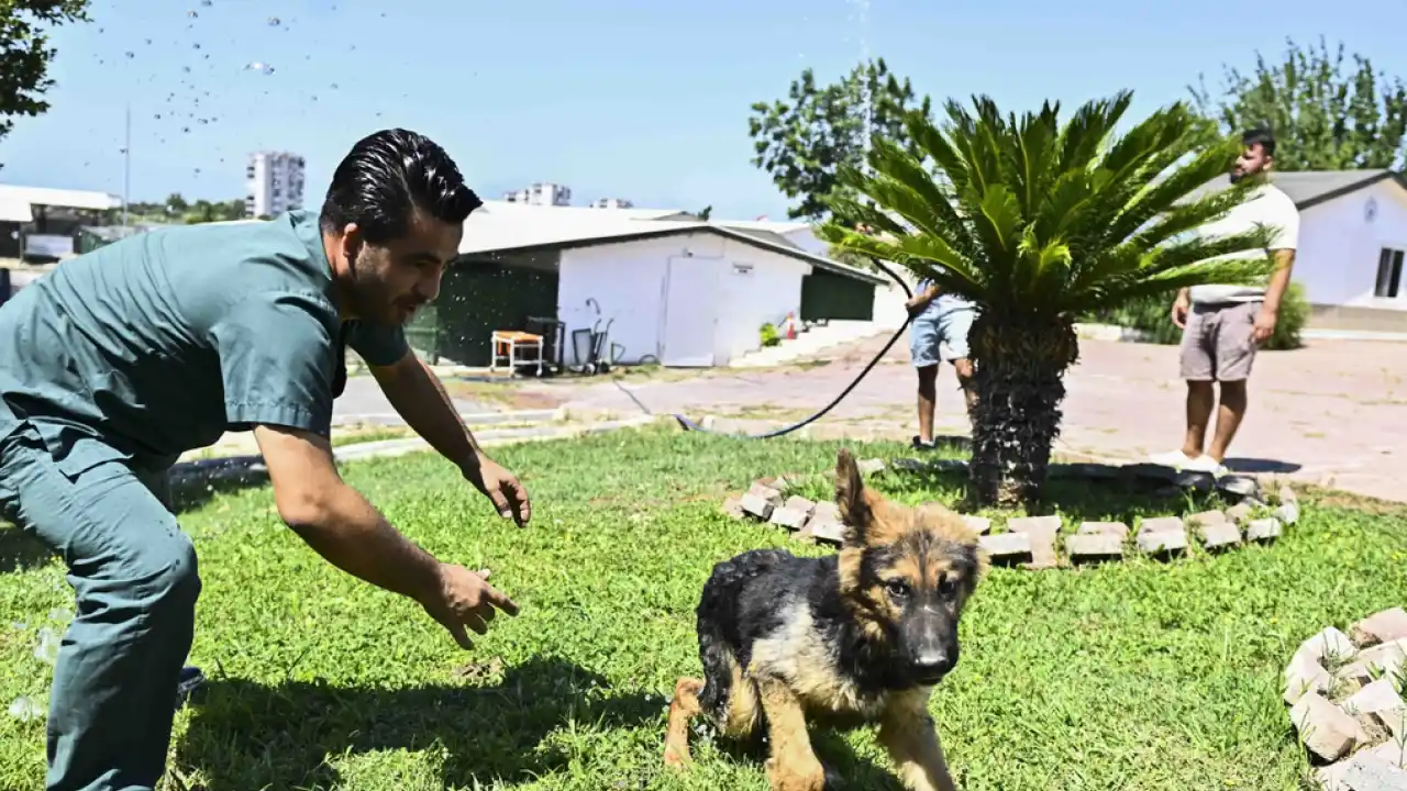 Antalya Muratpaşa’dan patili dostlara serin dokunuş