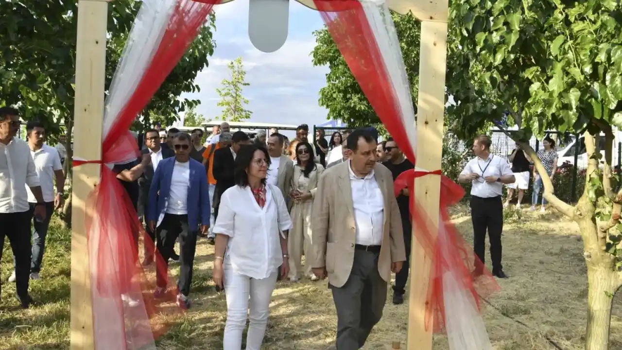 ATA Çiftliği’nde ilk dut toplandı